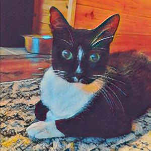 Meet your Posher, Leslie